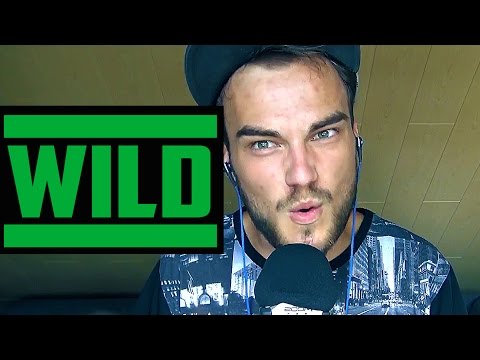 B-Art  |  WILD (V1)