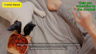 Whats open and closed on Christmas Eve and Christmas Day 2024