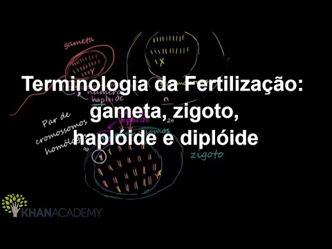 download lagu mp3 mp4 Gametas, download lagu Gametas gratis, unduh video klip Gametas