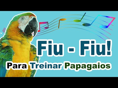 assobio fiu fiu para treinar papagaio    assobio fiu fiu para papagaio