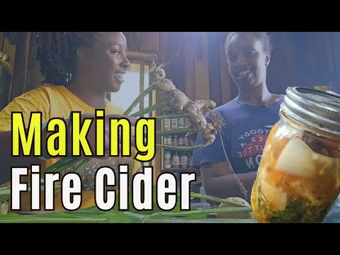 Making Fire Cider in the Belize Jungle | FroFamilyTravels