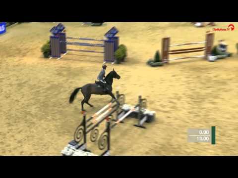 Chellatus R 145 LR CSI 5* Basel 2016