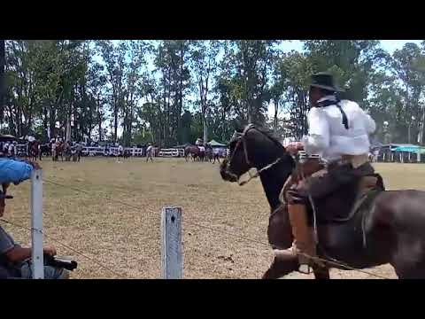 Jineteadas en pelo y basto, y en ponis - Festival de Doma y Folklore - Plácido Rosas,  08/02/2026