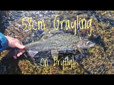 Heli Fly Fishing 2022, Käsivarsi Wilderness Area