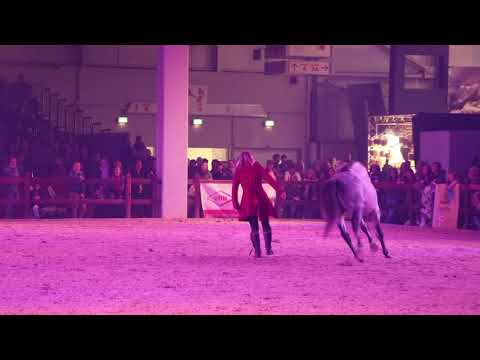 Hero Merkel - Liberté