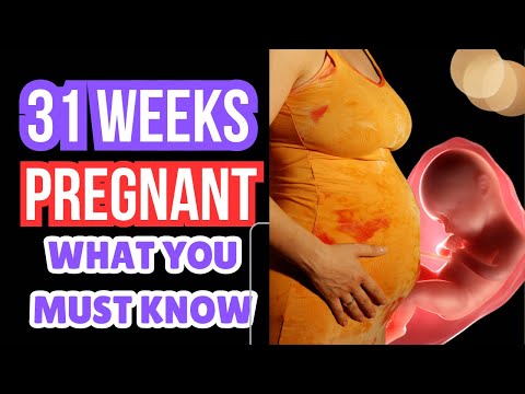 31 Weeks Pregnant In Months | Week by Week and What To Expect In Your Third Trimester