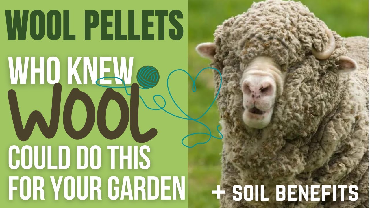 Wool Pellets: Who Knew Wool Could do THIS for Your Garden?
