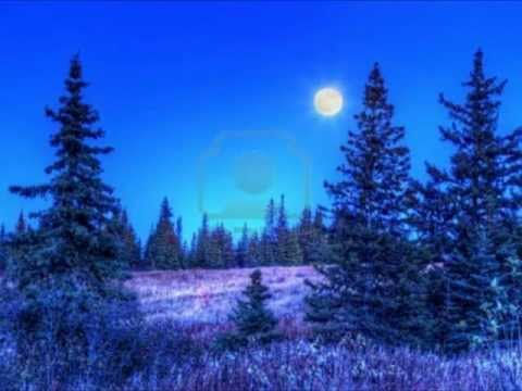 Mourning Fog - Full Moon Autumn Night