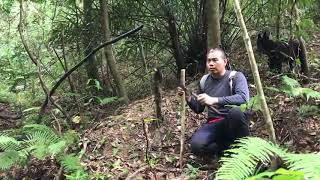 [情報/新聞]3月起禁用山豬吊但仍有例外 