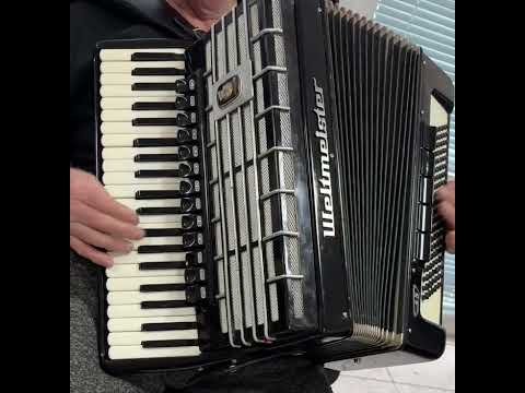 Weltmeister S5 Cassotto Accordion LMMMH – 120 Bass, 18 Reg., German Made + Case & New Straps (Video) image 26