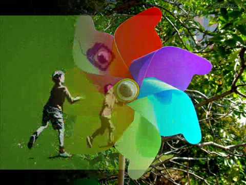 Catavento video