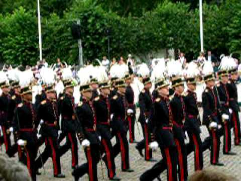 Défilé militaire du 21 juillet 2010 -