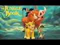 Disney King That S What Friends Are For