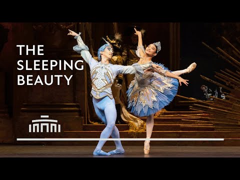 Ballet fragment Princess Florine and Blue Bird [The Sleeping Beauty] | Dutch National Ballet