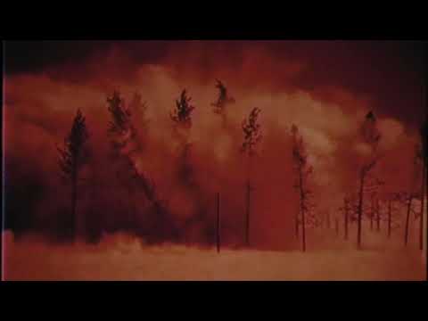 AVDDXCT - WORLD WAR (Visual by NLXl)