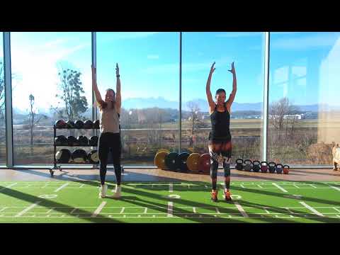 FULL BODY WORKOUT (ohne Cardio) mit Dani & Franzi - ONLINE FITNESS - ONLINE KURSE