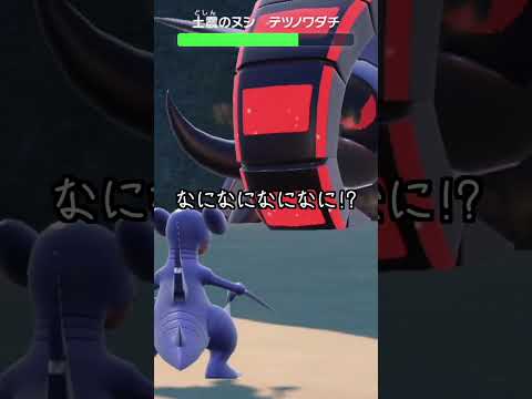 園芸 ツノバイオレット、ツノパンジー、ツノパンジー