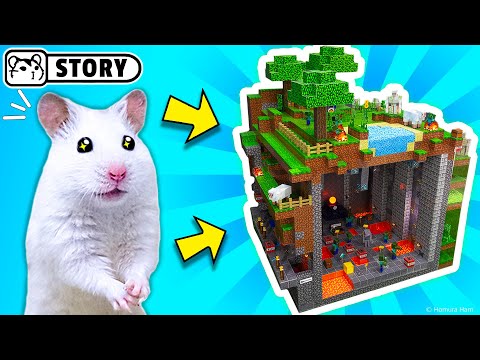 The world's largest hamster maze - obstacle course! #2 ???? Homura Ham