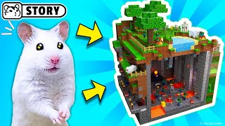 The worlds largest hamster maze - obstacle course!