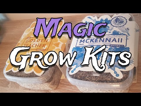 How to Grow Mushrooms from Start to Finish with a Magic Grow Kit - The Easiest Way to Grow Shrooms