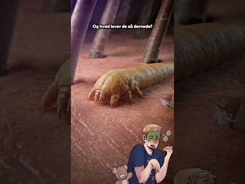 Du har TUSINDVIS af små dyr i dit ansigt! 😱🔬 (Hårsækmider)