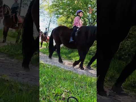 Familiencampingplatz Haselünne YouTube-Vdeominiatur 14