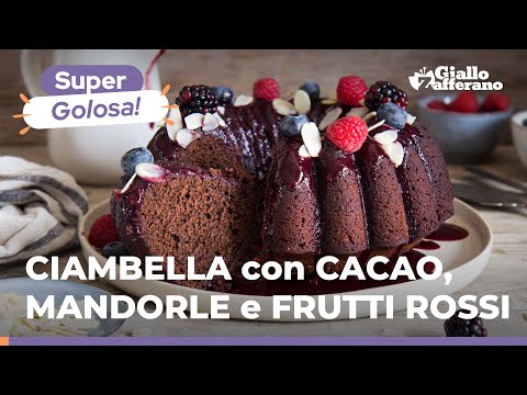 BOLO DE CACAU E AMÊNDOA COM MOLHO DE BAGAS – Sobremesa chique e deliciosa! Receita fácil!