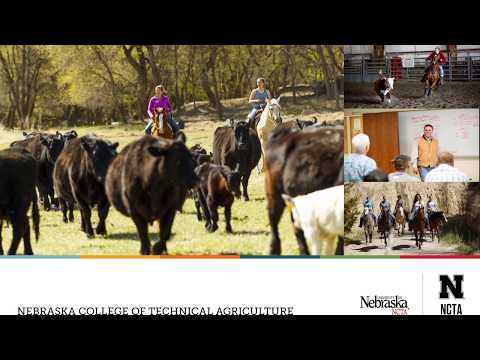 Animal Science and Ag Education at NCTA