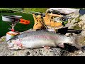 MONSTER Trout Catch Cook 48h SURVIVAL In The Mountains AquaView Fishing