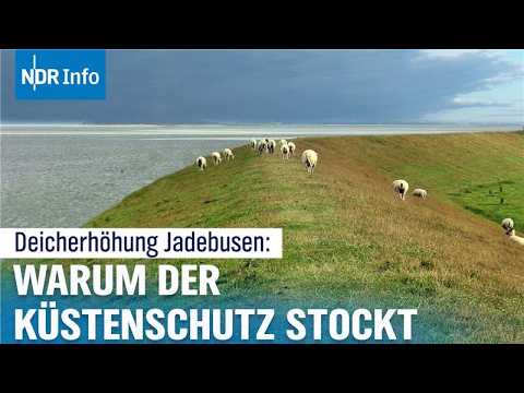 Video Thumbnail: Sturmflut-Angst an der Weser: Kommt der Deichbau 2027? | Panorama