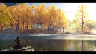 ARIAKE HAIKU Reflect on Refuge