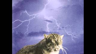 Smog - Cold Blooded Old Times