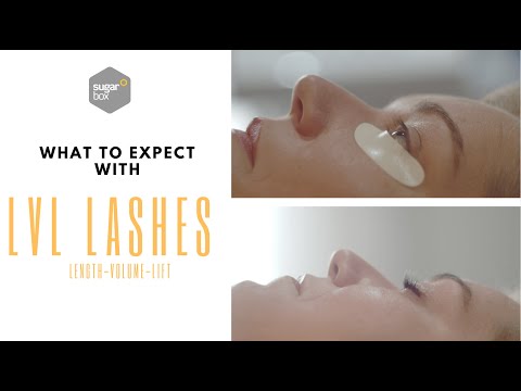 LVL Lash Lift