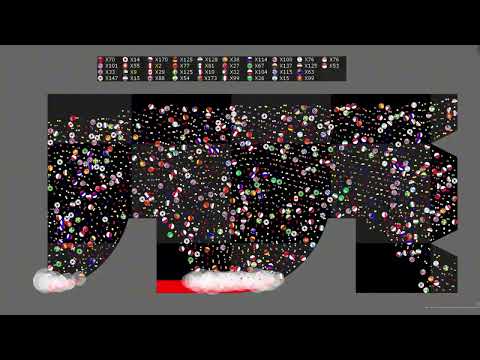 Survival Proliferation - 61 - Country Marble Race - Fast Marble Race