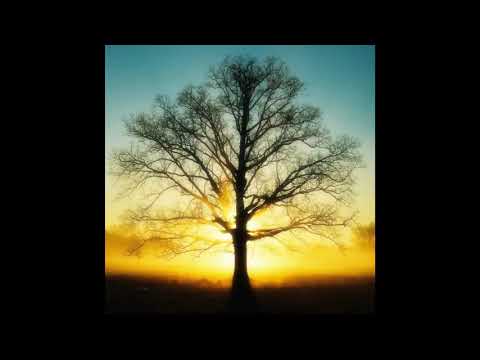 Endorphins - Liquid Drum & Bass Mix