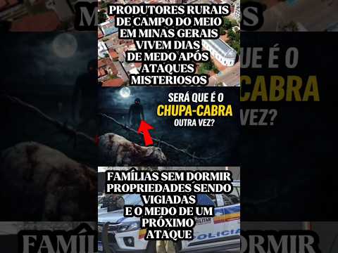 ATAQUE MISTERIOSO EM CAMPO DO MEIO EM MINAS GERAIS #shortsfeed #shortsviral #shortsyoutube #shorts