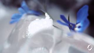 DJVictory - Imagination