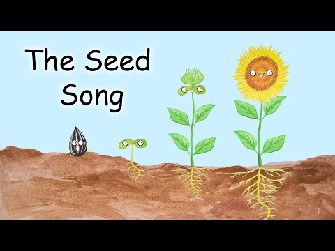 The Seed Song - What Do Seeds Need?