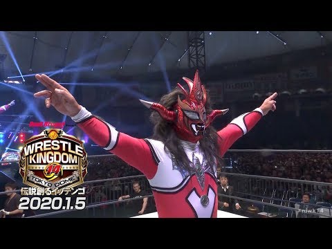 Jushin Thunder Liger Retires, Chris Jericho Aiding Australia Fire Relief Efforts | Fight-Size Update
