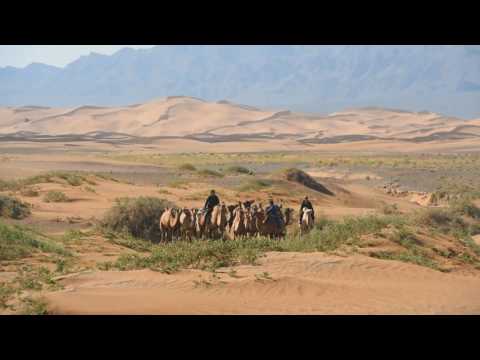 Khashbaatar - Adapting to new situations