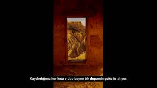 Beynimiz Hacklendi mi? 15 Saniyelik Videolar ve Bilişsel Çöküş | DipNot