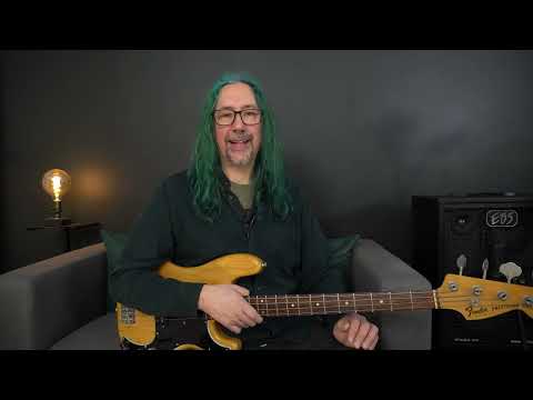 EBS Magni 502 115 Bass Combo