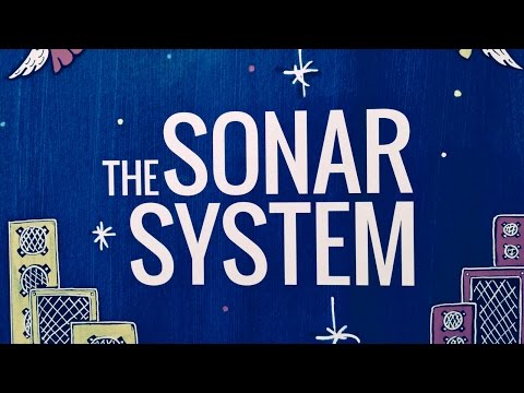 The Sonar System / Reggae Sound System Culture for Children