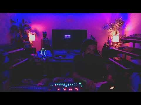 At Home with Henry 23  "Minimal Trip"