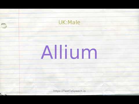 How to pronounce allium