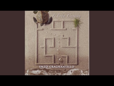 Stu Criato - Enzo Gragnaniello