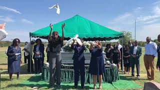 White Dove release for Winky