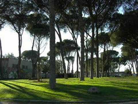 Pusha - Mimetico (ex Flaminio Maphia) Roma