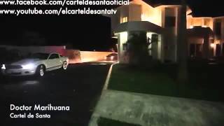 Doctor marihuana cartel de santa