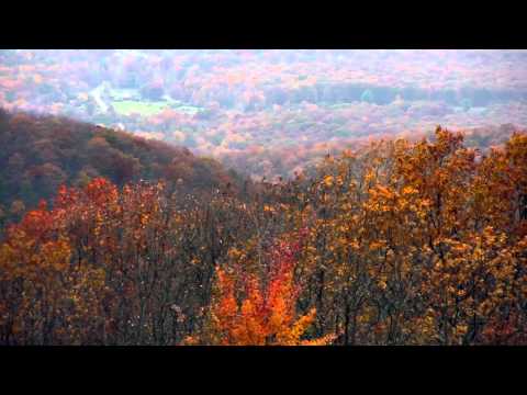 download lagu mp3 mp4 Shenandoah National Park Fall Foliage, download lagu Shenandoah National Park Fall Foliage gratis, unduh video klip Shenandoah National Park Fall Foliage